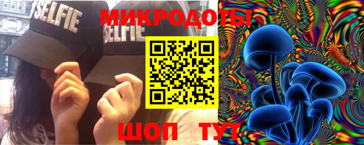 Галлюциногенные грибы Psilocybe Нижний Тагил